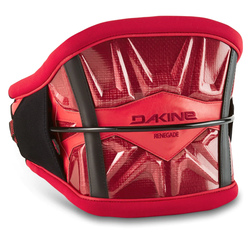 DAKINE RENEGADE